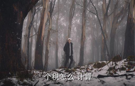 工資個稅計算方法,退休人員返聘工資個稅計算方法
