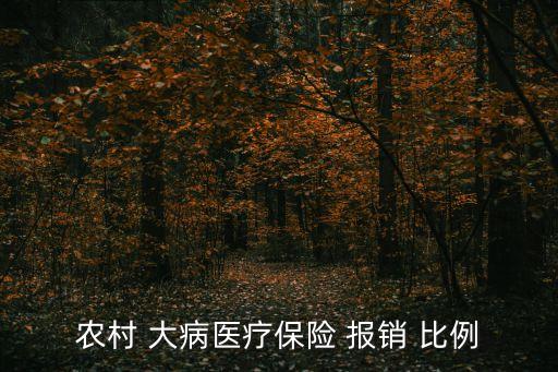 農(nóng)村 大病醫(yī)療保險 報銷 比例