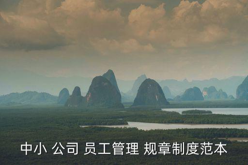 公司員工規(guī)章制度,電梯維保公司員工規(guī)章制度
