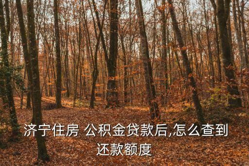  濟(jì)寧住房 公積金貸款后,怎么查到還款額度