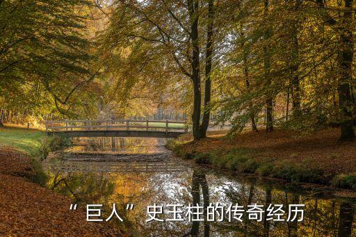 “ 巨人”史玉柱的傳奇經(jīng)歷