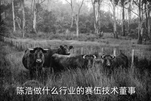  陳浩做什么行業(yè)的賽伍技術(shù)董事