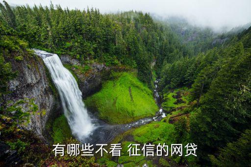 有哪些不看 征信的網(wǎng)貸