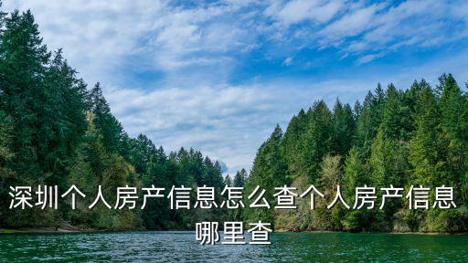 深圳個(gè)人房產(chǎn)信息怎么查個(gè)人房產(chǎn)信息哪里查