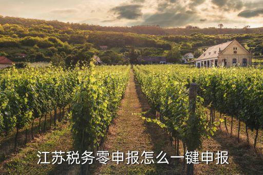  江蘇稅務(wù)零申報怎么一鍵申報