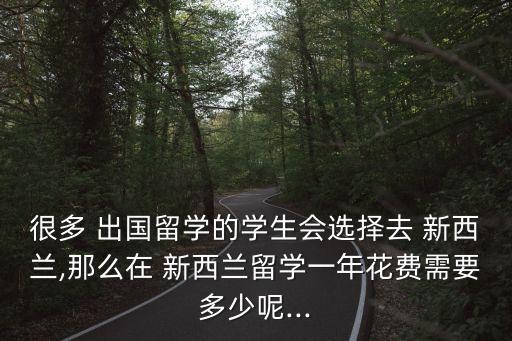 很多 出國(guó)留學(xué)的學(xué)生會(huì)選擇去 新西蘭,那么在 新西蘭留學(xué)一年花費(fèi)需要多少呢...