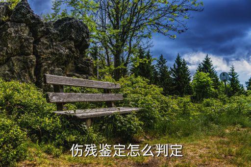  傷殘鑒定怎么判定