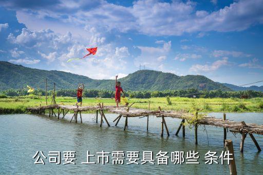 公司上市的條件,2023公司上市的條件