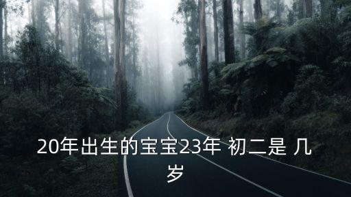 初二是幾歲,2001年三月初二是幾歲