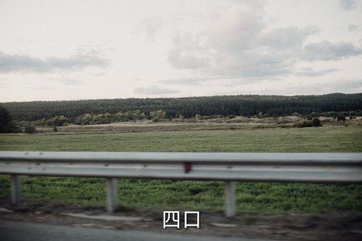 三寶四口