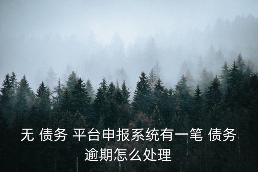 無 債務(wù) 平臺申報系統(tǒng)有一筆 債務(wù)逾期怎么處理