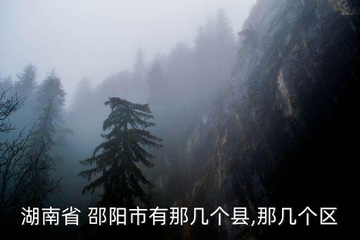 湖南省 邵陽市有那幾個縣,那幾個區(qū)