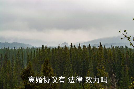  離婚協(xié)議有 法律 效力嗎