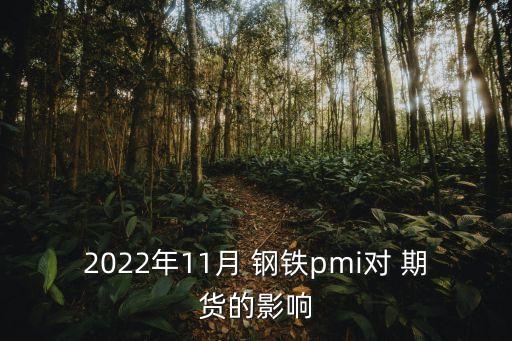 2022年11月 鋼鐵pmi對 期貨的影響