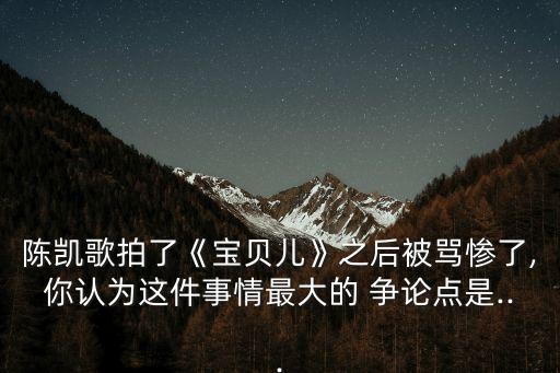 陳凱歌拍了《寶貝兒》之后被罵慘了,你認為這件事情最大的 爭論點是...
