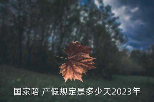 國(guó)家陪 產(chǎn)假規(guī)定是多少天2023年