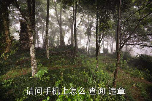 電子違章查詢,車輛電子違章查詢