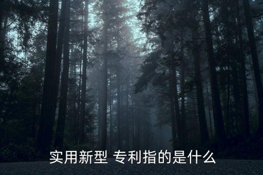 實用專利