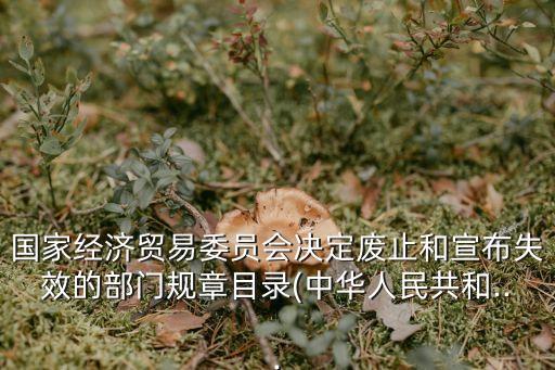 經(jīng)貿(mào)委