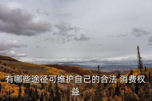 有哪些途徑可維護(hù)自己的合法 消費(fèi)權(quán)益