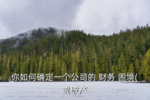 財(cái)務(wù)困境,企業(yè)財(cái)務(wù)困境