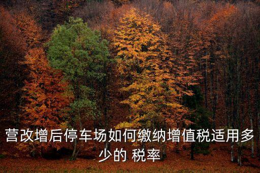 停車費稅率,小規(guī)模物業(yè)公司停車費稅率