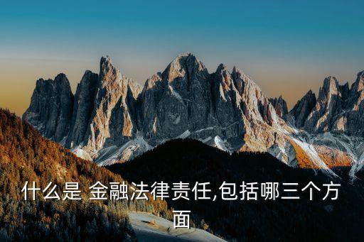 什么是 金融法律責(zé)任,包括哪三個方面