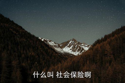 什么叫 社會(huì)保險(xiǎn)啊