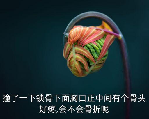 撞了一下鎖骨下面胸口正中間有個骨頭好疼,會不會骨折呢