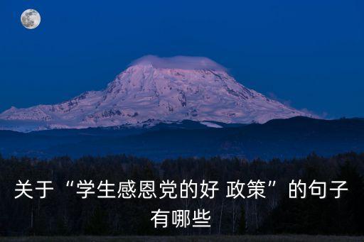 好政策