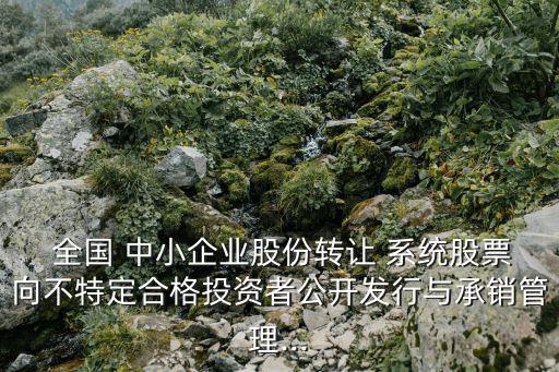 全國(guó)中小企業(yè)股轉(zhuǎn)系統(tǒng)