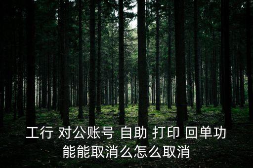 工行 對(duì)公賬號(hào) 自助 打印 回單功能能取消么怎么取消