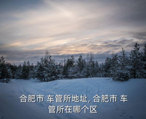 合肥濱湖車管所