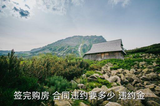房屋買賣合同違約金上限,民法典房屋買賣合同違約金