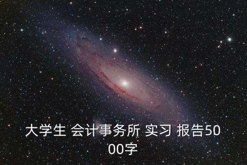 會(huì)計(jì)專業(yè)實(shí)習(xí)報(bào)告,會(huì)計(jì)實(shí)訓(xùn)報(bào)告1500字大學(xué)篇