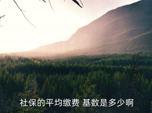  社保的平均繳費(fèi) 基數(shù)是多少啊