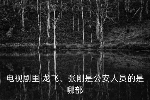 龍飛個人資料簡介,齊齊哈爾龍飛個人資料簡介
