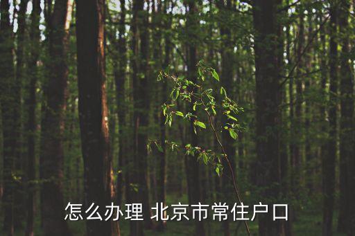 怎么辦理 北京市常住戶口