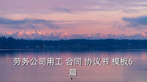 勞務(wù)公司用工 合同 協(xié)議書 模板6篇