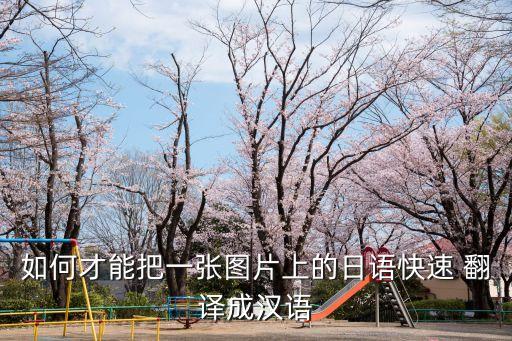 如何才能把一張圖片上的日語快速 翻譯成漢語