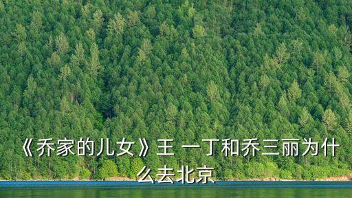 《喬家的兒女》王 一丁和喬三麗為什么去北京