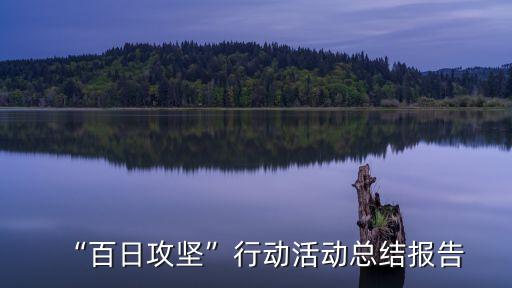 “百日攻堅(jiān)”行動(dòng)活動(dòng)總結(jié)報(bào)告