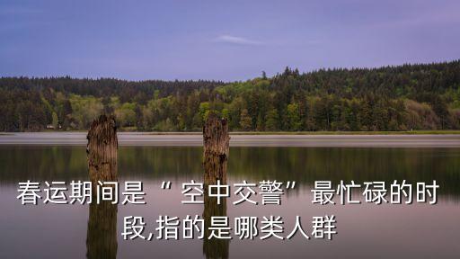 春運(yùn)期間是“ 空中交警”最忙碌的時(shí)段,指的是哪類人群