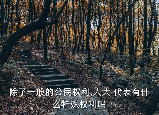 除了一般的公民權(quán)利,人大 代表有什么特殊權(quán)利嗎
