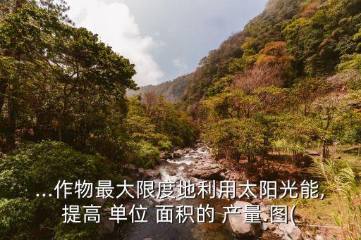 ...作物最大限度地利用太陽光能,提高 單位 面積的 產(chǎn)量.圖(