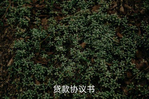 貸款協(xié)議書
