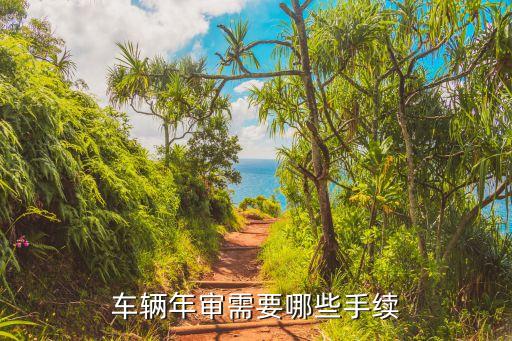 車輛年審需要哪些手續(xù)