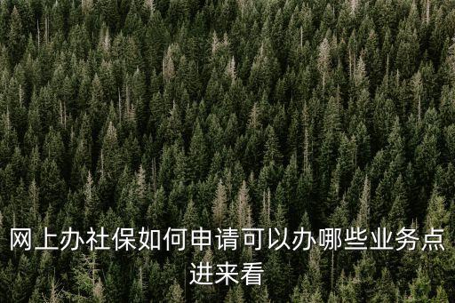網(wǎng)上辦社保如何申請可以辦哪些業(yè)務(wù)點進來看