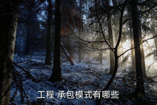 工程 承包模式有哪些