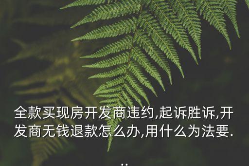 全款買現(xiàn)房開發(fā)商違約,起訴勝訴,開發(fā)商無錢退款怎么辦,用什么為法要...